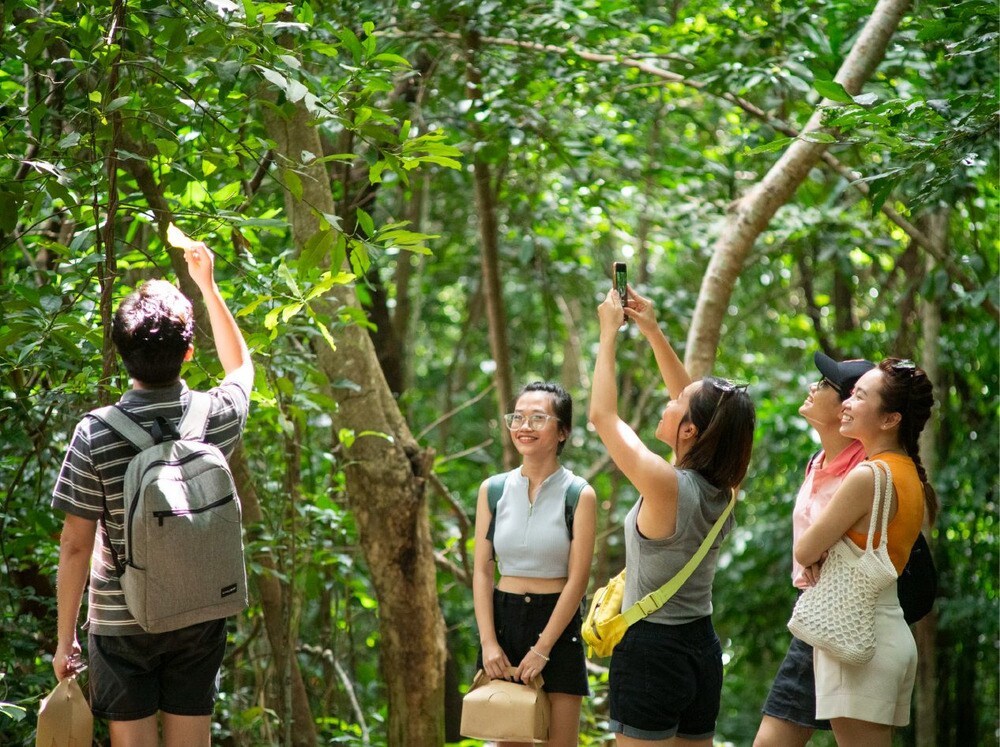 Hoạt động trekking vịnh Đầm Tre